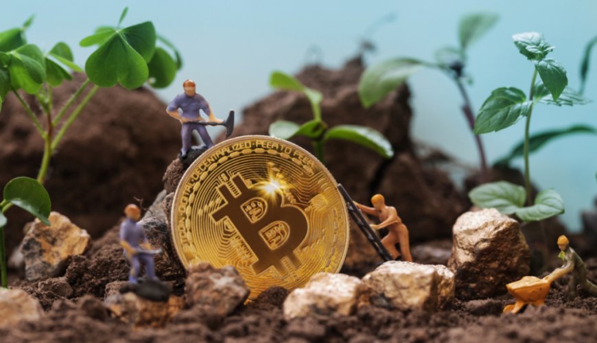 Mineradores de Bitcoin enfrentam crise de identidade enquanto alguns visam IA