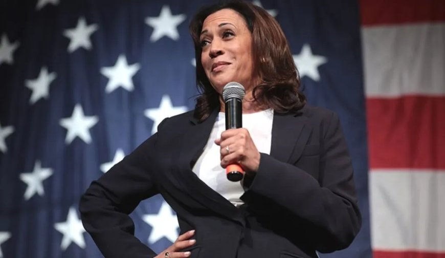 Crypto4Harris: entusiastas das criptomoedas lançam campanha de apoio a Kamala Harris