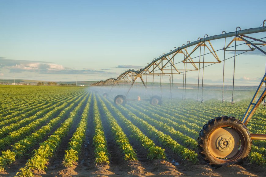 Derivativos Agrícolas e Mercado Futuro: A Engrenagem Financeira que Move o Agro Brasileiro